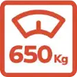 PESO VIVO 650 KG