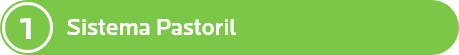 SISTEMA 1: PASTORIL