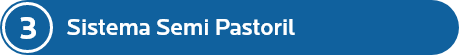 SISTEMA 3: SEMI PASTORIL
